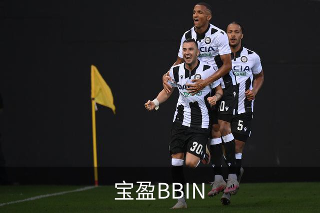 宝盈BBIN平台介绍图片